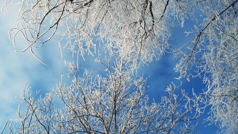 Студ сковава 14 области в страната, обявен е жълт код