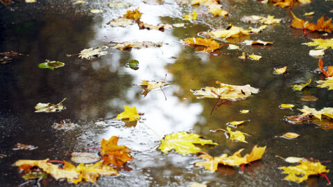 Оранжев код за значителни валежи в 5 области у нас