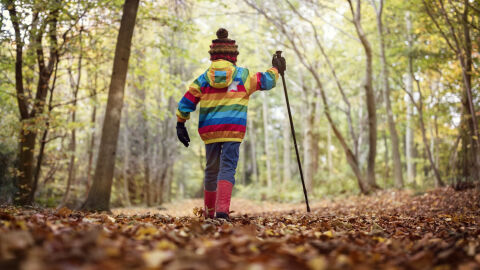 Проф. Рачев: Не можем да тръгнем по джапанки, но ще е топъл ноември