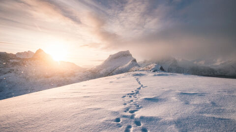 Петима туристи загинаха по време на снежна буря 