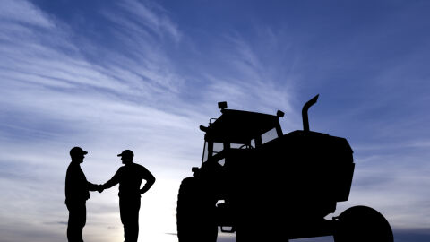 Парите от земя: Средната цена за аренда на нивите пада с над 3%. Декарът се продава с 90 лева повече