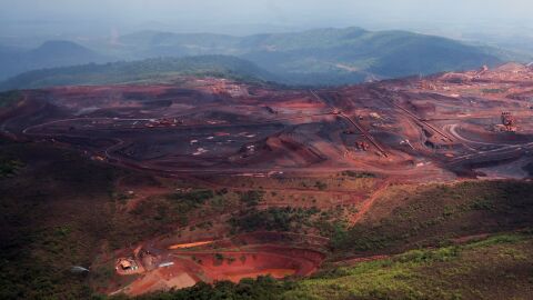 Болнавите гори на Европа абсорбират все по-малко въглероден диоксид. Решението – 10% по-малко сеч