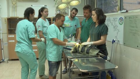 &quot;Всяка вечер, някой спеше при животните&quot;: Спасителният център за диви животни &quot;Зелени Балкани&quot; на 30 г. 