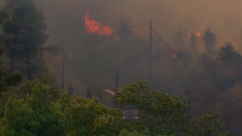 След пепелта: Уроците на Гърция за свят, който гори все по-често