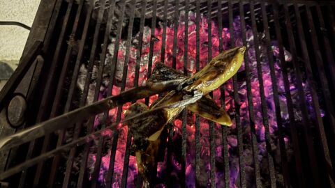 Скара с кебапчета предизвика голям пожар в Хасково