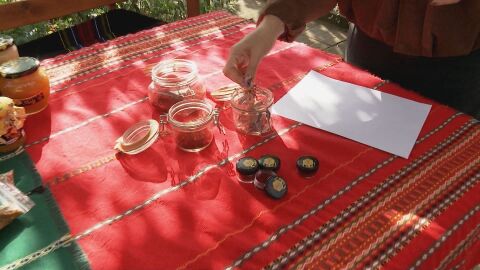 Най-скъпата подправка в света: Тайните за отглеждане на шафран в България 