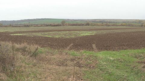 Спор за арендата на земя: Защо не могат да се разберат собственици и арендатори?