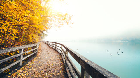 Времето в събота – 22 ноември: Остава облачно, но топло за сезона