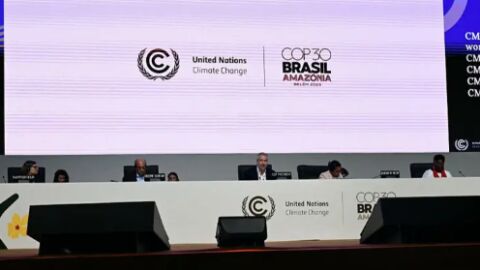 ООН одобри нов План за действие по въпросите на половото равенство