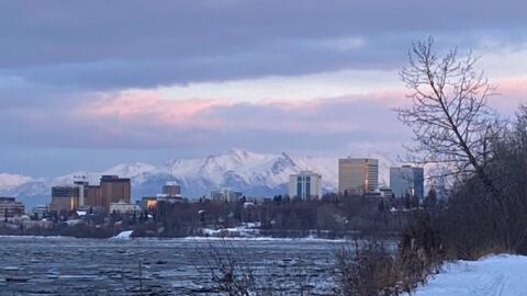 Силно земетресение разлюля Аляска (ВИДЕО)