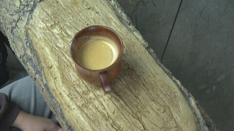 Чаша кафе с вкус на Африка: В Пловдив отвориха първото у нас зоокафе