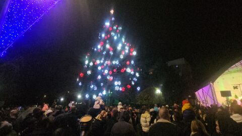 Най-голямото живо коледно дърво в Европа грейна в Димитровград (ВИДЕО И СНИМКИ)