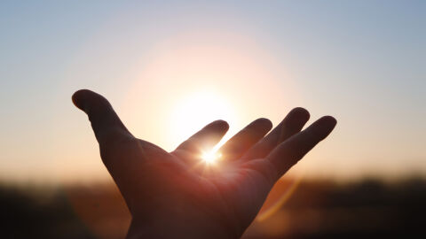 Промените в слънчевата радиация може да са стимулирали еволюцията 