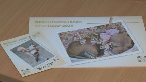 Благотворителен календар помага на деца с онкологични заболявания 