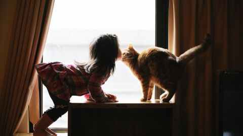 Може ли домашните любимци да са следващите в списъка с лекарства за отслабване?