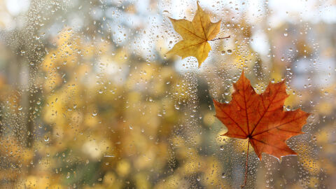 Студена сутрин на 29 октомври и максимални температури до 21 градуса