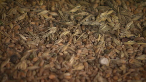 ЕС с въпроси към Израел, след като руски кораб със зърно от Украйна акостира в Хайфа