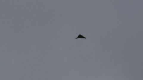 Катар е прехванал атака с дрон, насочена към американска военна база