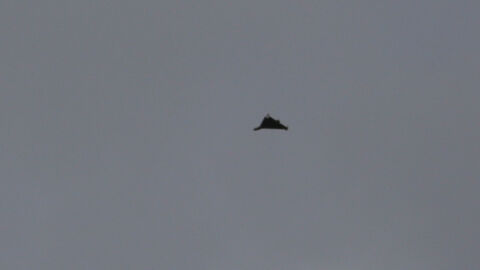 Володимир Зеленски: Русия доставя на Иран дронове „Шахед“