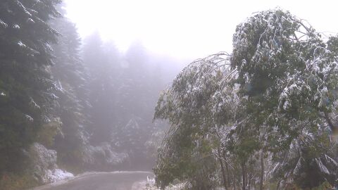 Столична община затваря временно пътищата към Витоша през почивните дни