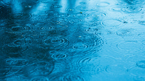 Дъждовно с температури до 15 градуса в четвъртък 