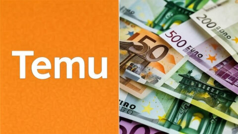 С едва 8 служители: Temu удвои печалбата си в ЕС