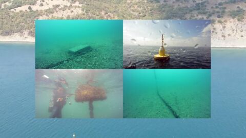 Проучвания: Финансирана от ЕС ферма за миди у нас е просто пясък