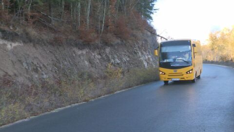 "Това никога не се е случвало": Мече изскочи пред училищен автобус във Велинградско (ВИДЕО)
