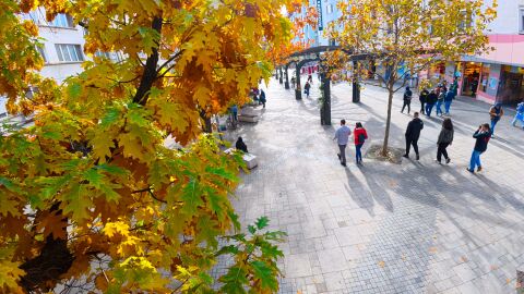 Преобладаващо слънчево днес, температурите - до 17 градуса