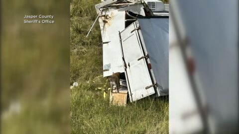 Катастрофиралият камион с маймуни в САЩ: Колко са на свобода и пренасят ли наистина болести?