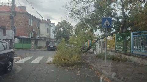 Снимка: Ураганен вятър с до 110 км/ч в Сливен: Пострадалият мъж е в доста тежко състояние, борят се за живота му