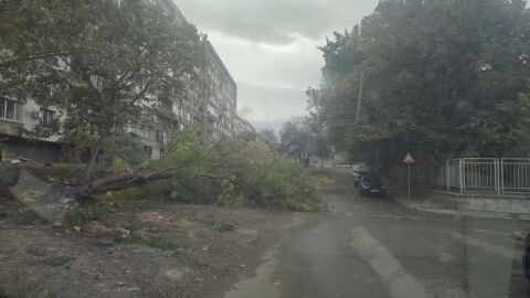 Снимка: Силният вятър в Сливен причини сериозни щети, мъж е в болница