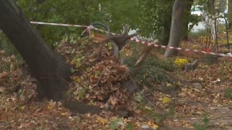 Снимка: Пострадалият при силния вятър мъж в Сливен е в много тежко състояние. Има счупени ребра, които са пробили белия му дроб