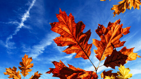 Ноември започва със слънце