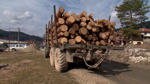 Заради проблем със спирачките: Шофьор на камион скочи в движение, удрят го дърва за огрев
