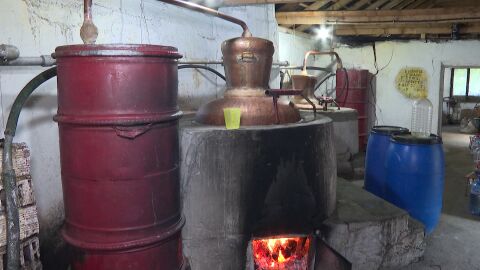 Домашната ракия се облага с акциз. Първите 30 литра – с намален данък, посочват от НАП