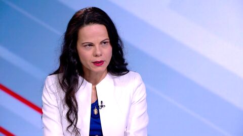 Снимка: Ивкова: Доц. Кунчев е имал втори трудов договор. Получих сигнал за влияние при поръчката за комарите