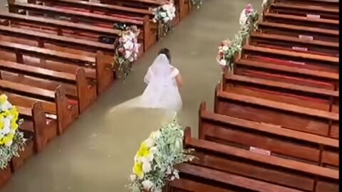 Снимка: 