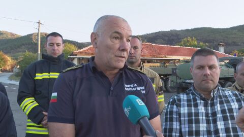 Снимка: „Всяка педя в важна“: Пожарникарите в Димовци лазили - дърветата били толкова много, че не можели да се изправят