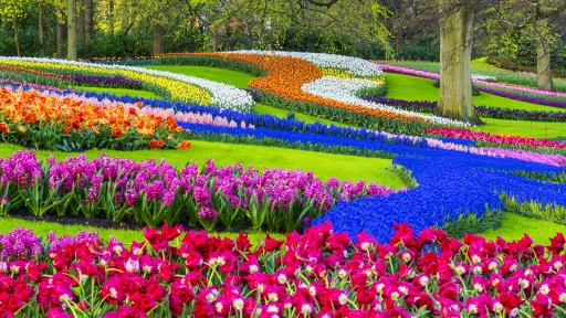 Снимка 10 великолепни градини по света, които трябва да посетите поне веднъж в живота си (СНИМКИ)