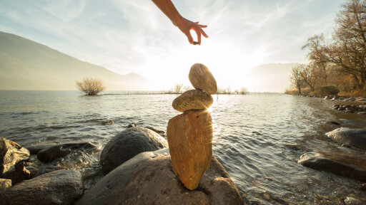 Снимка Мисъл на деня от Андрей Тарковски