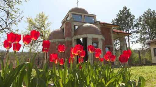 Снимка 2 април: Имен ден