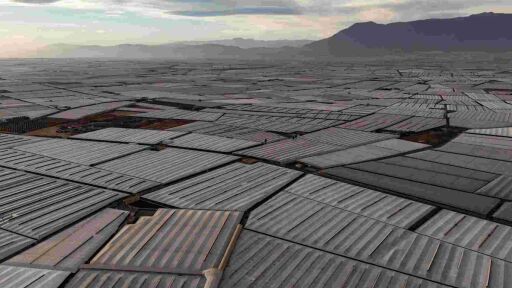 Това е европейската зеленчукова градина - тя може да изхрани половин милиард души 