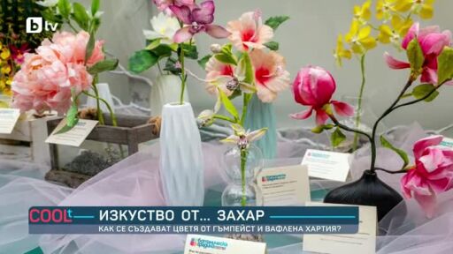 Изкуство от... захар