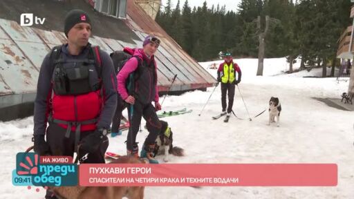 Среща със спасителите на четири крака и техните водачи