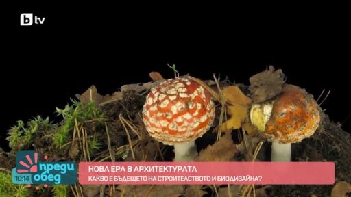 Какво представлява биодизайнът?