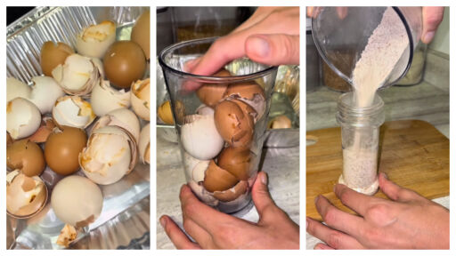 Снимка Яйчените черупки - здраве за организма и ползи за дома