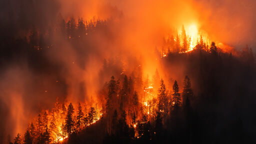 Горски пожари опустошават САЩ: Десетки унищожени домове и масови евакуации