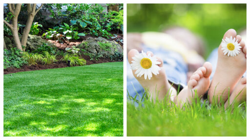 Снимка Как да постигнем перфектната градинска морава – със семена или чим