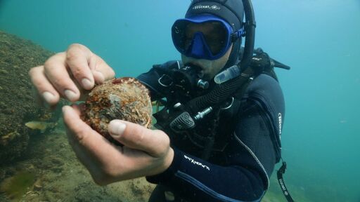 bTV Репортерите: Мисия Австралия-България - наука под вода